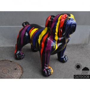 EMOTION chien multicolore